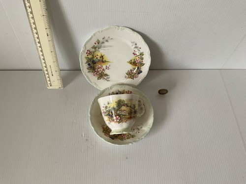 Royal albert england - albert, tazza
