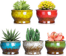Vasi per Piante Grasse, Vasi