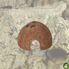 Tana noce di cocco per Retti