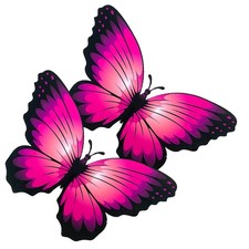 2 Pezzi Adesivi Murali