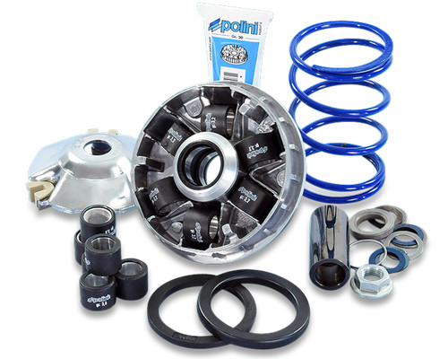 Variatore polini speed evo - variatore,