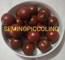 25 Semi Pomodoro Camone Sardo