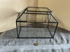 Piante Terrario Casa