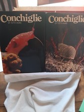Conchiglie Di Tutti I Mari I E