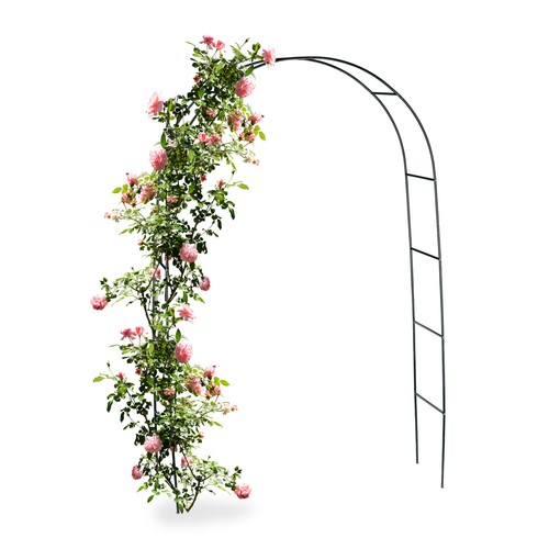 Arco per rose traliccio - rose,