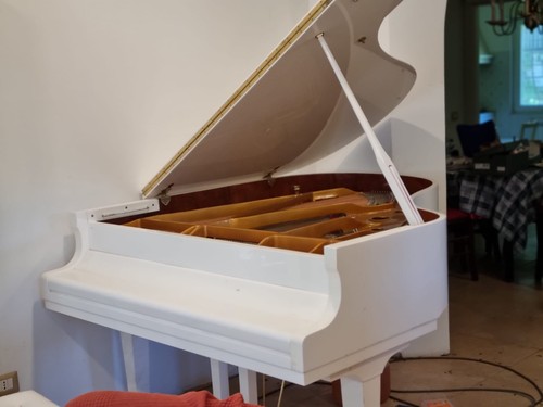 Pianoforte coda - pianoforte, (160