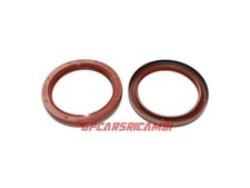 Paraolio Albero a gomiti per