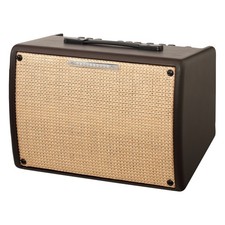 Ibanez Troubadour T30II -