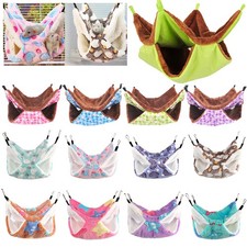 Furetto Ratto Scoiattolo