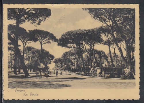 Cartolina fregene pineta - fregene, la