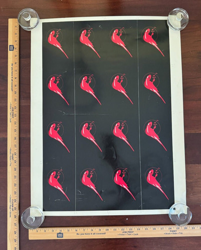 Poster 26x20 pappagallo - poster,