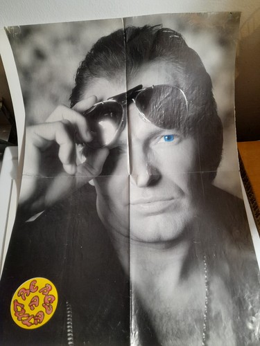 Vasco rossi poster - vasco,