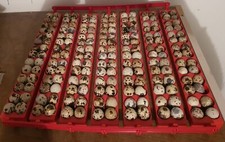 !!!VERIFICA DESCRIZIONE