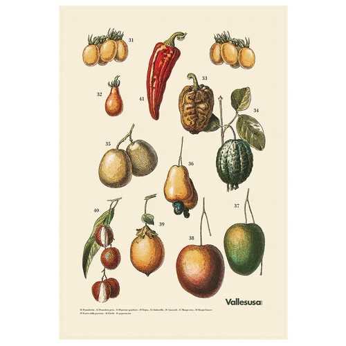 Canovaccio cucina vallesusa - da,