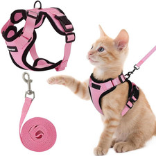 Pettorina Gatto, 1 Unità