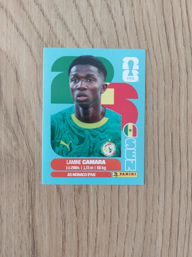 Panini fifa world - fifa,