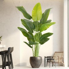 ZEEOZE Pianta Artificiale