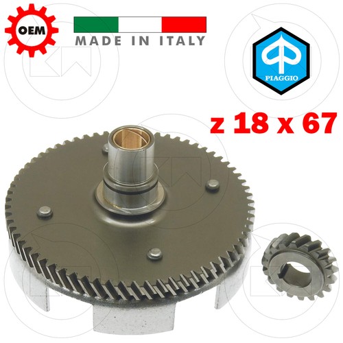 Kit rapporti campana frizione - rapporti,
