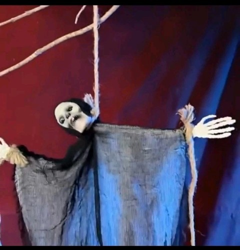 Decorazioni halloween fantasmi - decorazioni,