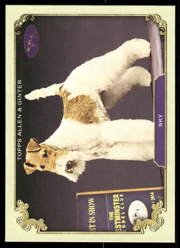 2024 topps allen - topps, &
