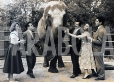 Foto vintage Animali, Jean Richard con il suo elefante, 1956, Stampa 18 x 13cm