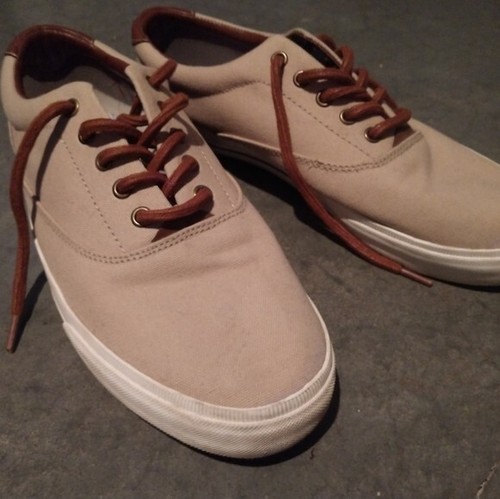 Scarpe tommy hilfiger - tommy, palmer