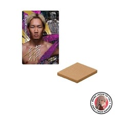 Nuovo BANDAI RIZIN Wafers '25