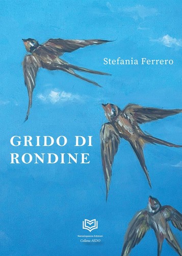 Grido rondine - grido, di