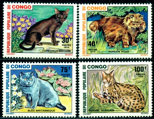 Congo 1974 gatti - gatti,, rosso