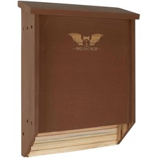 Scatola di pipistrelli in