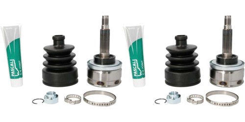 Pascal set giunti albero - pascal,