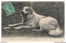 AWCP15-1049-65 - Scene E Tipi