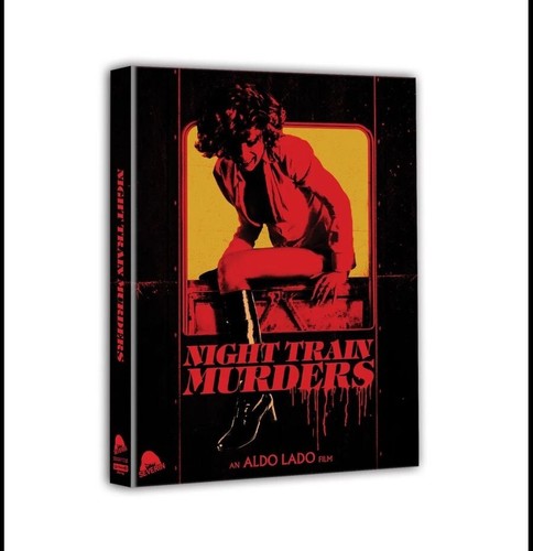 Night train murders - train,