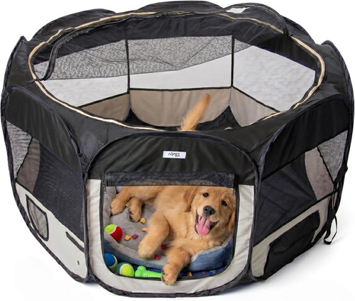 Box per animali cani - cani, e