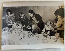 fo5486,foto originale,elisir di lunga vita ai cani, connaughr rooms,londra