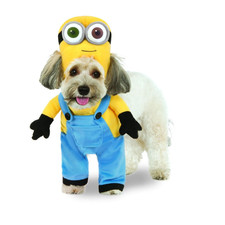 Costume Minion Bob Pet -