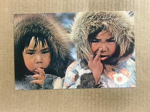 Cartolina alaska carino - cartolina,