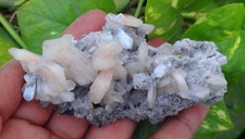 Campione Di Minerali Di