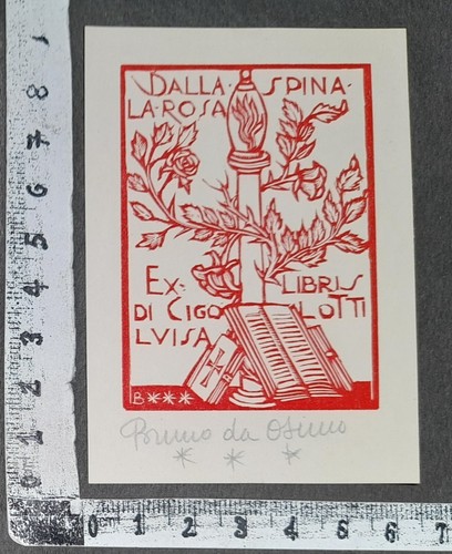Wunderkammer exlibris 628 - b,