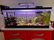 acquario completo usato