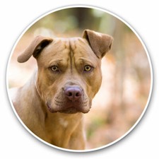 2 x Vinyl Stickers 20cm -