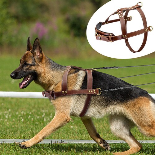 Imbracatura per cani vera - per,