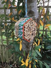 insetto, insetto, hotel delle