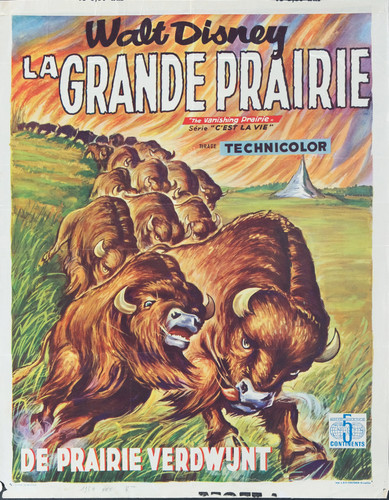 Walt disney grande - disney:, la