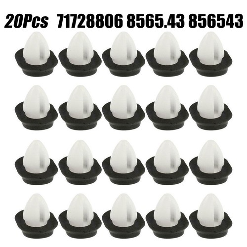 Pezzi clip guarnizione - pezzi,