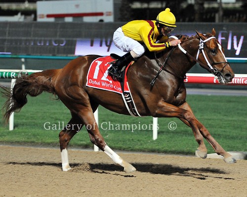 Foto curlin 2008 - curlin, world