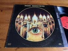 LP ITALY 1977 Strawbs – Burning For You