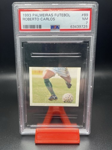 1993 palmeiras futebol roberto - 1993,