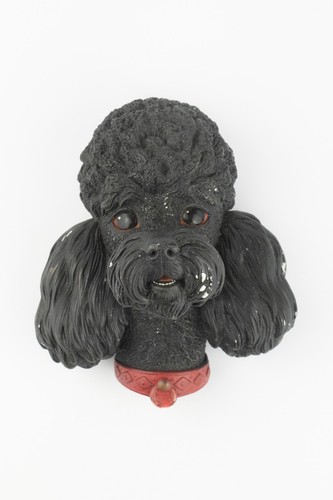 Black poodle bosson legend - poodle,