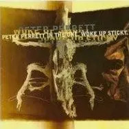 Singolo peter perrett in - cd,